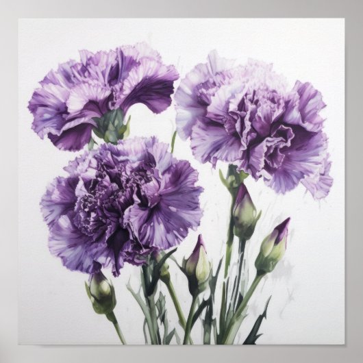 Poster imprimé d'oeillets violets (Devant)