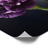 Poster imprimé d'oeillets violets (Coin)