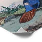 Poster imprimé d'oiseau exotique (Coin)