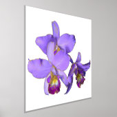 Poster imprimé du groupe d'orchidées violettes dro (Poser)