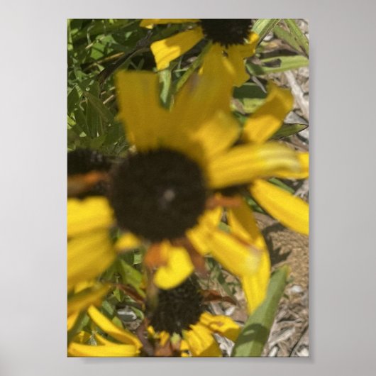Poster Imprimé floral jaune grisfforaday (Devant)