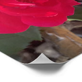 Poster imprimé floral rouge grisé (Coin)