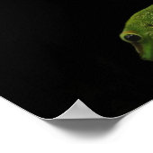 Poster imprimé gecko de la journée malgache (Coin)