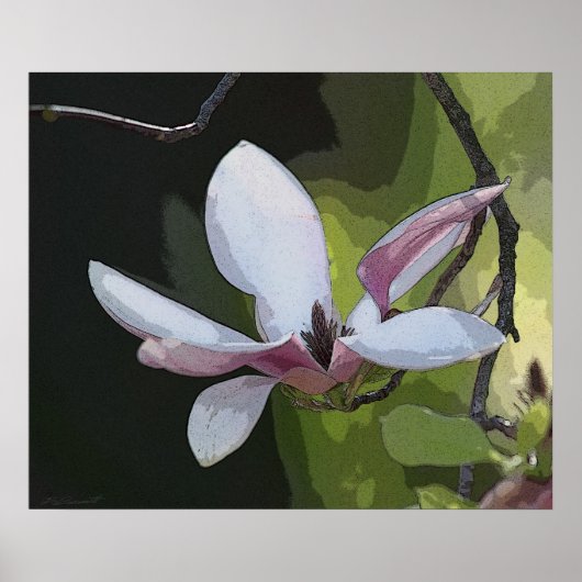 Poster Imprimé japonais Magnolia Art -24x20 -ou plus peti (Devant)