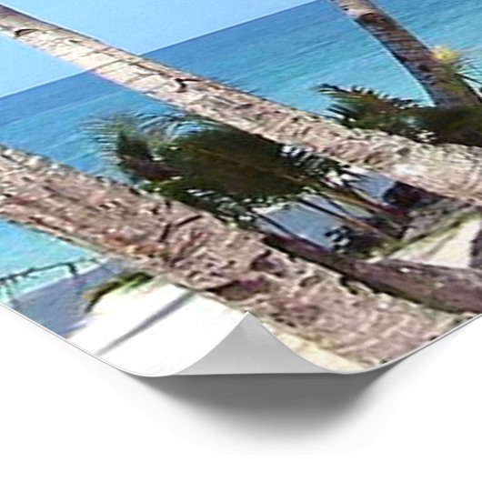 Poster Imprimé Ocean Palm Trees (Coin)