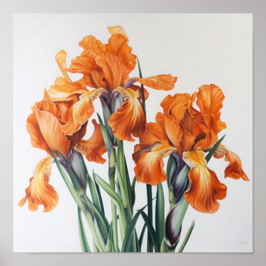 Poster imprimé Orange Irises (Devant)