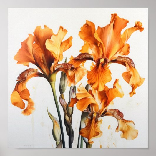 Poster imprimé Orange Irises (Devant)