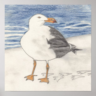 Poster imprimé SEA GULL (15 po x 15 po)