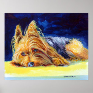 Poster imprimé Yorkshire Terrier