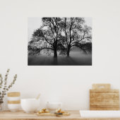 Poster IMPRIMER - 2 grands arbres Noir & Blanc (Cuisine)