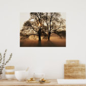 Poster IMPRIMER - 2 grands arbres Sepia Gold (Cuisine)