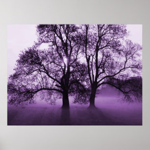 Poster IMPRIMER - 2 gros arbres violets