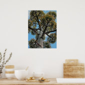 Poster Imprimer : Agave (Cuisine)