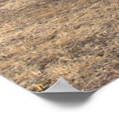 Poster Imprimer : Ancienne maison en bois (Coin)