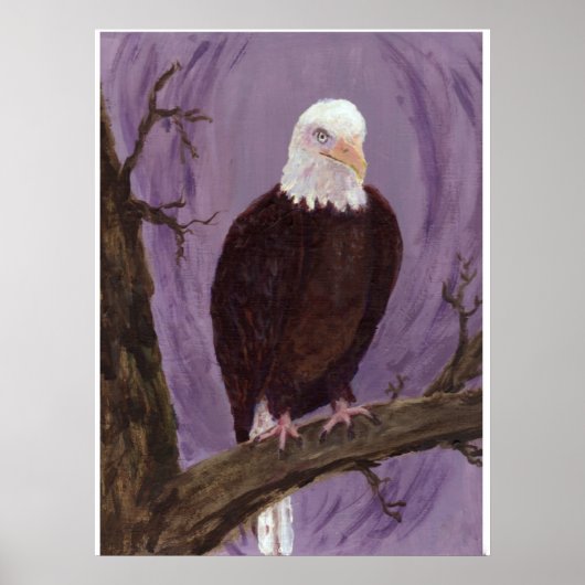 Poster Imprimer Bald Eagle (Devant)
