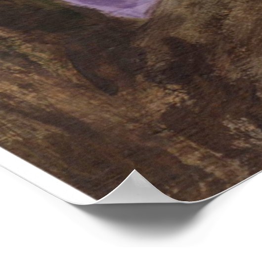 Poster Imprimer Bald Eagle (Coin)