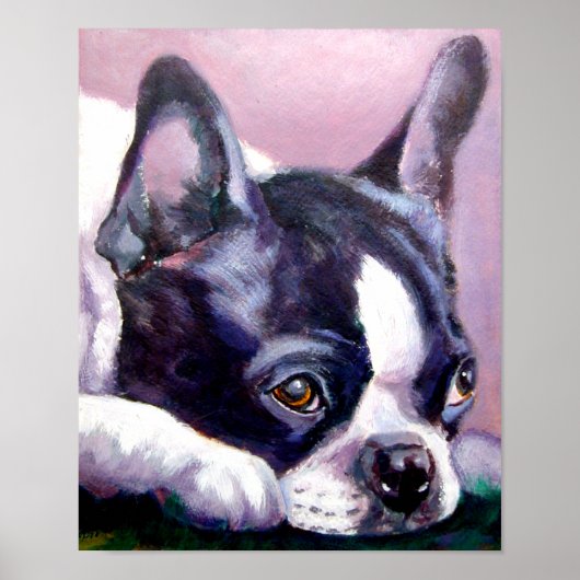 Poster Imprimer Boston Terrier (Devant)