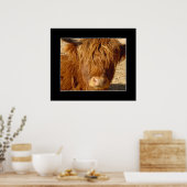 Poster Imprimer - Bovins des Highlands (Cuisine)