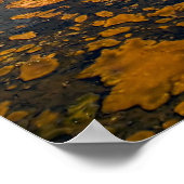 Poster Imprimer - Castle Geyser, parc national de Yellows (Coin)