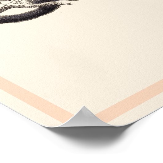 POSTER IMPRIMER CÉBUS MONACHUS MONKEY (Coin)