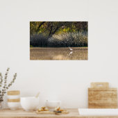 Poster Imprimer : Chasse À L'Aiguille Dans L'Étang 2 (Cuisine)