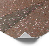 Poster Imprimer Cherry Blossom (Coin)