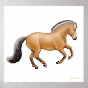Poster Imprimer Cheval du fjord norvégien