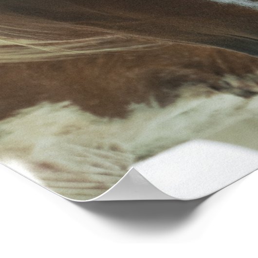 Poster Imprimer Cheval Mustang (Coin)