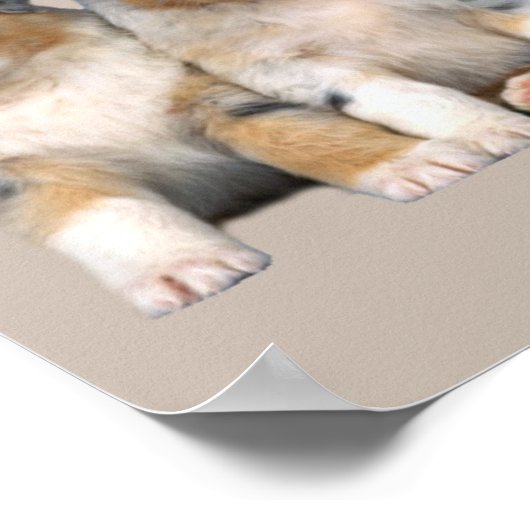 Poster Imprimer Chiffres Australiens (Coin)