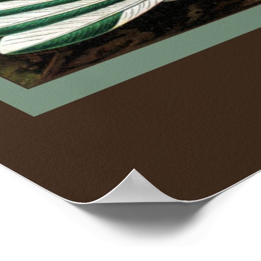 Poster Imprimer Colibri (Coin)