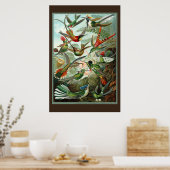 Poster Imprimer Colibri (Cuisine)