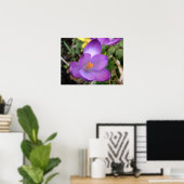 Poster Imprimer crocus vif (Bureau à domicile)