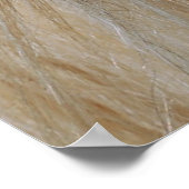 Poster / Imprimer de la vision tzigane (Coin)