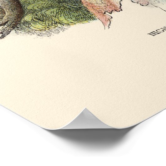 POSTER IMPRIMER DE NUIT (Coin)