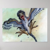 Poster Imprimer Deinonychus (Devant)