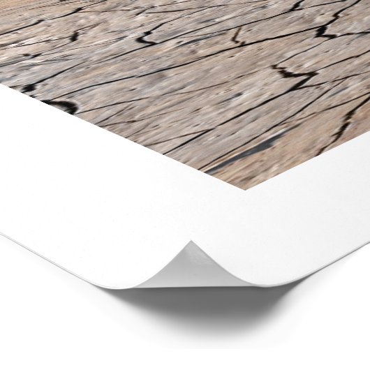 POSTER IMPRIMER DES RAPTEURS (Coin)