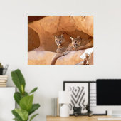 Poster Imprimer Deux Lions De Montagne (Bureau à domicile)