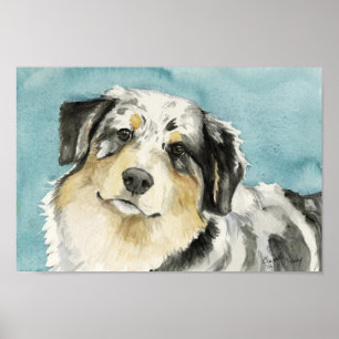 Poster Imprimer Dog Art "Australian Shepherd"