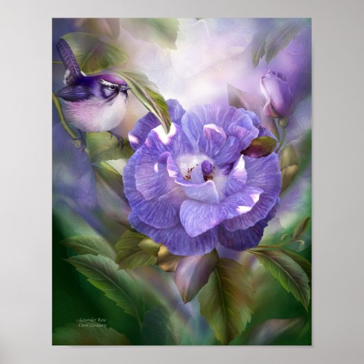 Poster / Imprimer du Rose Lavender (Devant)