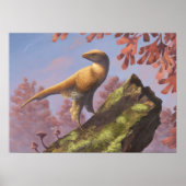 Poster Imprimer Eosinopteryx (Devant)