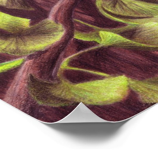 Poster Imprimer Epidexipteryx (Coin)