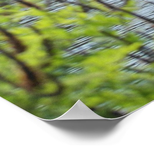 Poster Imprimer Étang Forêt Bernheim (Coin)