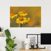 Poster Imprimer : Fleurs Brittlebush (Bureau à domicile)