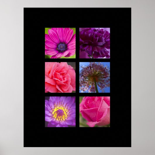 Poster Imprimer - Fleurs roses et violettes (Devant)