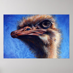 Poster Imprimer Fugley Ostrich