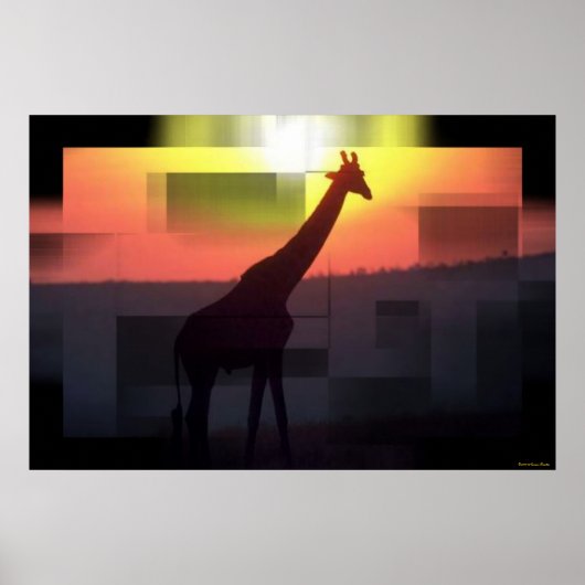 Poster Imprimer Giraffes (Devant)