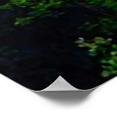 POSTER IMPRIMER GORGE IN ITHACA NEW YORK CANVAS (Coin)