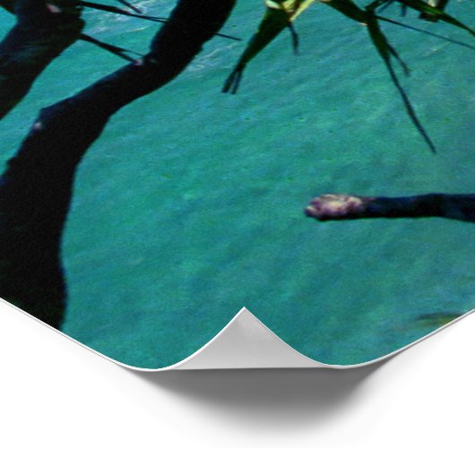 Poster Imprimer Hanakapiai Beach (Coin)