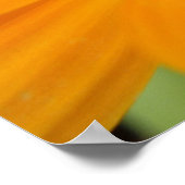 Poster Imprimer la baie de pluie orange (Coin)