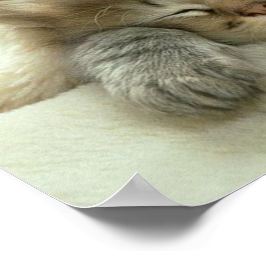 Poster Imprimer la carte (Coin)